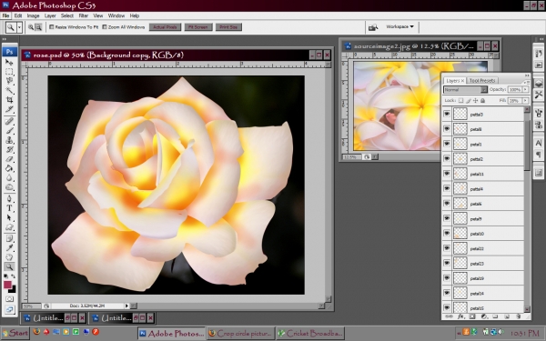 Creation of Hawiian Rose: Step 4
